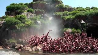 Splash Mountain POV Log Flume Water Ride Tokyo Disneyland Japan 1080p HD [upl. by Oeramed993]