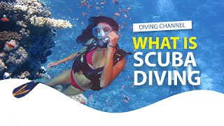 What is Scuba Diving [upl. by Marthena]