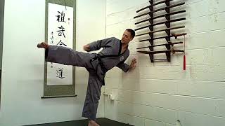 Foundations of Sinmoo Hapkido Episode 31  Knee Side Kick [upl. by Anyala]