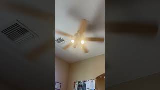 Litex spotlight ceiling fan [upl. by Crescentia238]