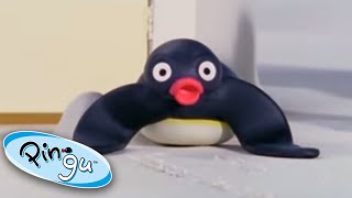 Pingas Lost Rabbit  Pingu Official  Cartoons for Kids [upl. by Eivla]