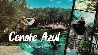 Cenote Azul TulumCancun Mexico 🇲🇽 Walking Tour Real Paradies [upl. by Hassi402]