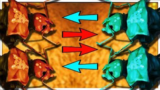 EPIC NEW 2v2 Battle Between Four Ant Queens  Empires Of The Undergrowth [upl. by Valtin]