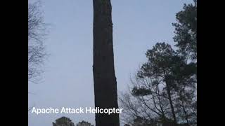 Helicopters passing over my house compilation Great sound [upl. by Atinna622]