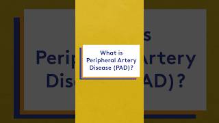 What is Peripheral Artery Disease PAD [upl. by Anatolio]