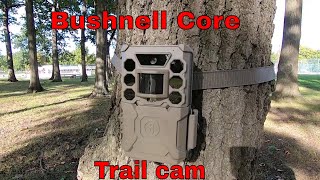 Bushnell Core NO GLOW trail camera Review [upl. by Cheatham146]