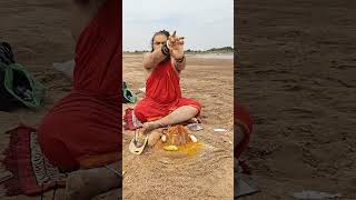 aghor godavari aghori guru Raja Swami ji Pooja mahakaal 🚩 [upl. by Lledniuq]