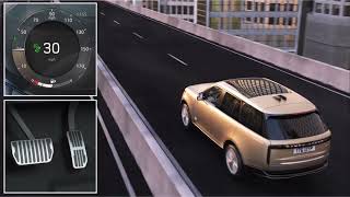 Adaptive Cruise Control and Speed Limiter [upl. by Iaria739]