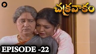 Episode 22  Chakravakam Telugu Daily Serial [upl. by Netsreik]