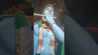 He krishna he Govinda he madhava  hre krishna hre krishna  short video [upl. by Tem904]