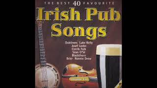 The Best 40 Favourite Irish Pub Drinking Songs  Various Artists  Over 2 Hours [upl. by Eelyek]