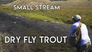 Small Stream Dry Fly Nirvana  Dubois Wyoming [upl. by Aerdma425]