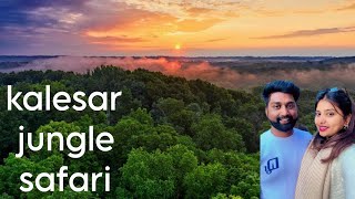 Kalesar Jungle Safari [upl. by Rehc]