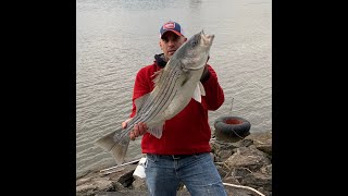 How to CATCH stripers from shore Hudson River [upl. by Tillo91]