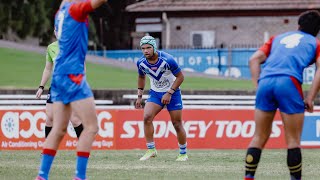 Harold Matthews Cup Highlights Round 7 v Western Suburbs Magpies [upl. by Adnahs]