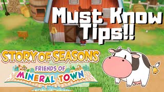 Story of Seasons Friends of Mineral Town TIPS  BEGINNER GUIDE [upl. by Edny]