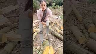 Firewood splitting process with the hammer and chisel [upl. by Wolgast]