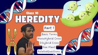 Class X Heredity Part 1 MonoDiHybrid Cross [upl. by Salahi]