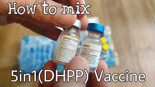 How to mix 5in1DHPP vaccine  for dogs [upl. by Stacey264]