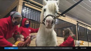 Allaire Community Farm Transforms Into Holiday Wonderland Including Christmas Light Show [upl. by Adnol]