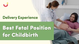 Types of Fetal Positions  What is the Best Fetal Position for Childbirth  Delivery Experience [upl. by Idnat618]