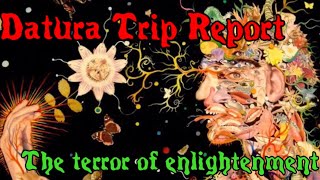 Datura Trip Report The Terror of Enlightenment [upl. by Shwalb]