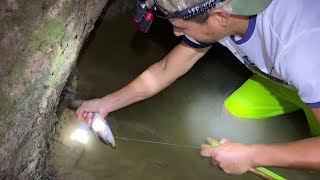 3 Tipos de Pesca Nocturna Anguilas y Peces Pesca y Cocina [upl. by Sanoy]