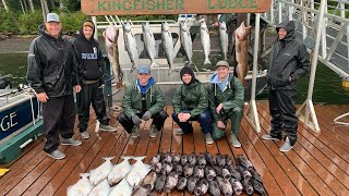 Kingfisher Alaska Fishing Trip 2023 [upl. by Ehcram]