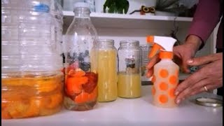 🍊 DETERGENTE eco casero con CITRICOS y Reutilizable 🍋 [upl. by Nael]