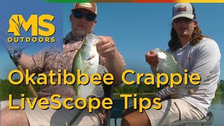 Okatibbee Crappie Fishing with Hayden Jefferies – LiveScope Tips [upl. by Felten]