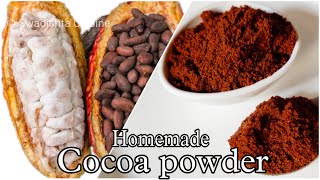 Homemade cocoa powder  natural cocoa powder preparation at home  cocoa processing using cocoa pod [upl. by Mirilla]