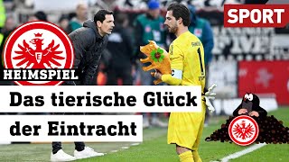 Eintracht Frankfurt Zurück in der Erfolgsspur Heimspiel  040324  Sport [upl. by Flavius230]