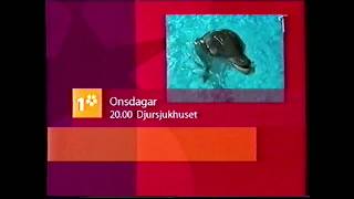 Djursjukhuset  Programinformation SVT1 20010815 [upl. by Annairdua178]