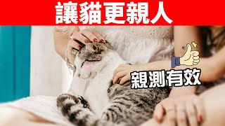 5個能讓貓咪更親人的小妙招，養貓的你一定要看！【養貓必看EP26】 [upl. by Asiralc]