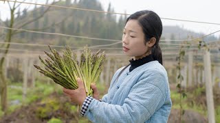 破土而出的芦笋，经过简单的烹饪，端上餐桌的时候感觉很幸福｜How to cook several Chinese dishes with asparagus simply ｜野小妹wild girl [upl. by Antonina]