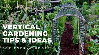 VERTICAL GARDENING TIPS amp IDEAS Why and how to add VERTICAL SPACE to your garden for EVERY BUDGET [upl. by Dalis]