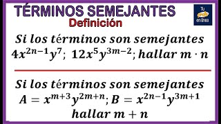 TERMINOS SEMEJANTES 01 Definición y Ejemplos [upl. by Malley60]