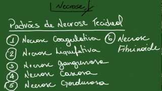 Como Fazer Micropigmentação nos Lábios  Passo a Passo Completo [upl. by Nur138]