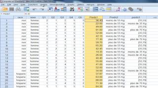 SPSS tutoriel Statistiques descriptives [upl. by Ybrik]