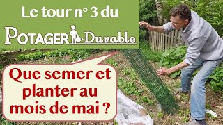 Que semer et planter au mois de mai au potager [upl. by Ruthann]