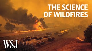 The Science of Wildfires Why Theyre Getting Worse  WSJ [upl. by Fanchie]