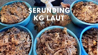 Proses Pembuatan Serondeng Daging Kg Laut [upl. by Otir413]