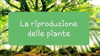 Angiosperme e gimnosperme  la riproduzione delle piante  Videolezione di Scienze [upl. by Kellie444]