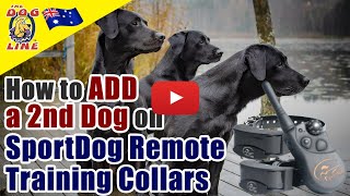 How to Add a second Dog on SportDog Remote Training Collars [upl. by Onitnerolf]