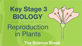 Key Stage 3 Science Biology  Reproduction in Plants [upl. by Lutim]