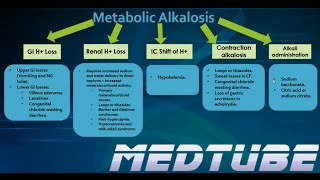 Metabolic Alkalosis Made Easy [upl. by Mahda310]