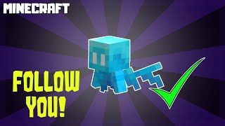 MINECRAFT  How to Get Allays to Follow You [upl. by Anastasius]