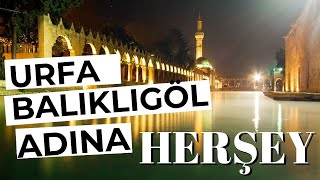 Urfa ve Balıklı Göl Adına Herşey [upl. by Sterrett]