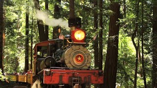 Roaring Camp amp Big Trees Railroad The Redwoods Experience [upl. by Lehcnom906]