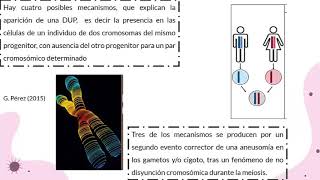 Clase genética médica Disomía uniparental [upl. by Ramso]